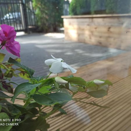 New Big Loft Apartments Jurmala With Free Secured Parking Zewnętrze zdjęcie